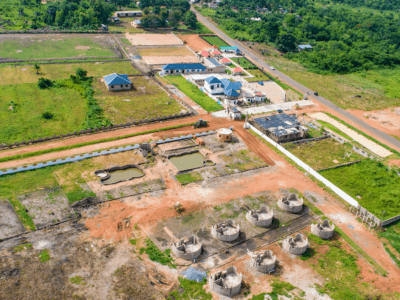 Adonai Estate Limited(REAL ESTATE COMPANY)